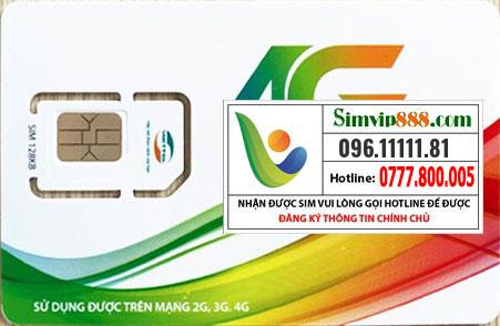 sim số đẹp 096.11111.81