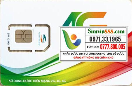 sim số đẹp 0971.33.1965